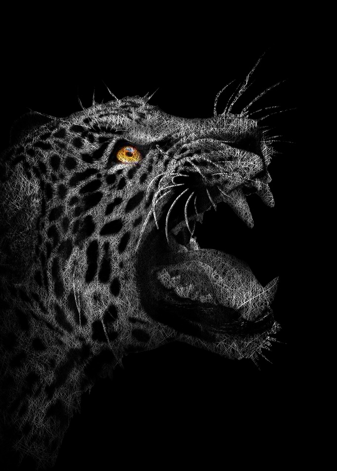 Tiger Force