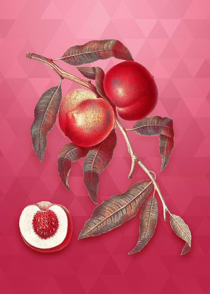 Walnut on Viva Magenta