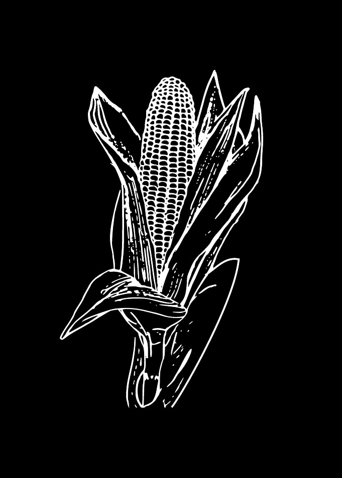 corn