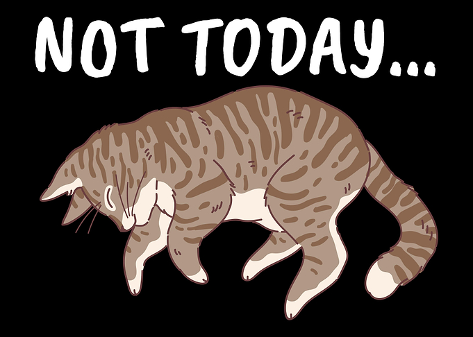 Nope Lazy Cat Lover