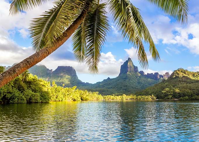 Opunohu bay Polynesia