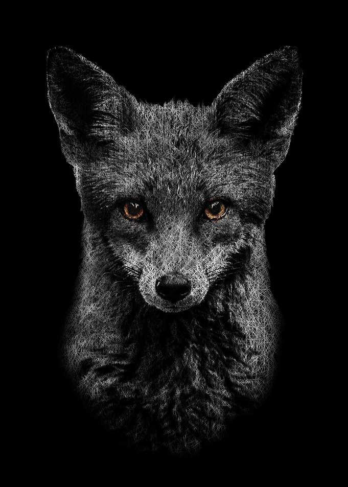 Unleash Your Inner Fox