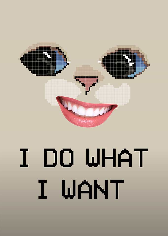 I do what i want