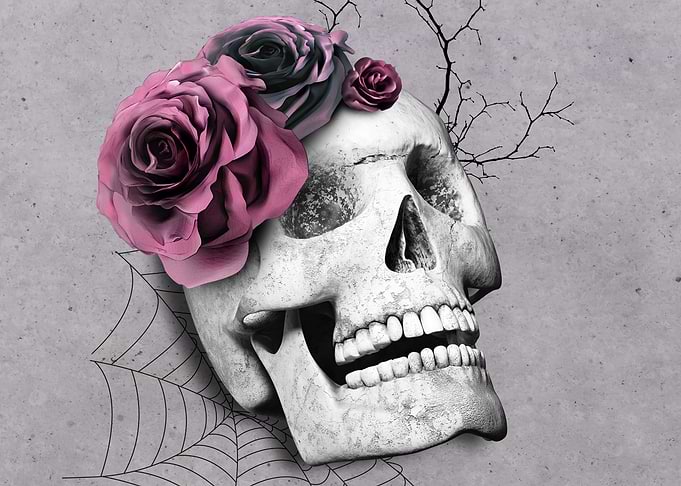 Human Skull with Roses