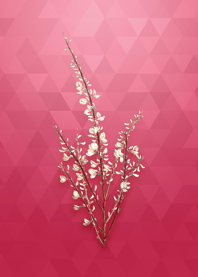 Vintage Gold White Broom