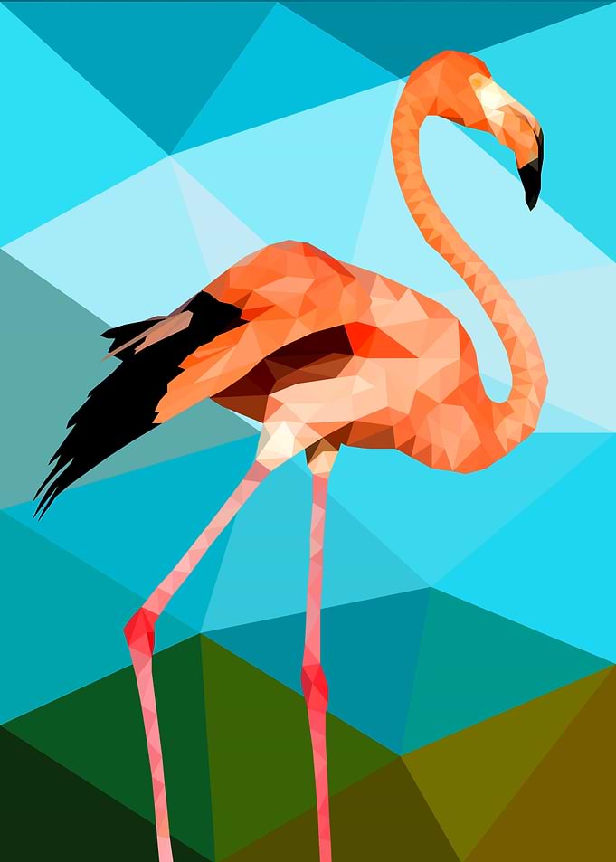 Flamingo