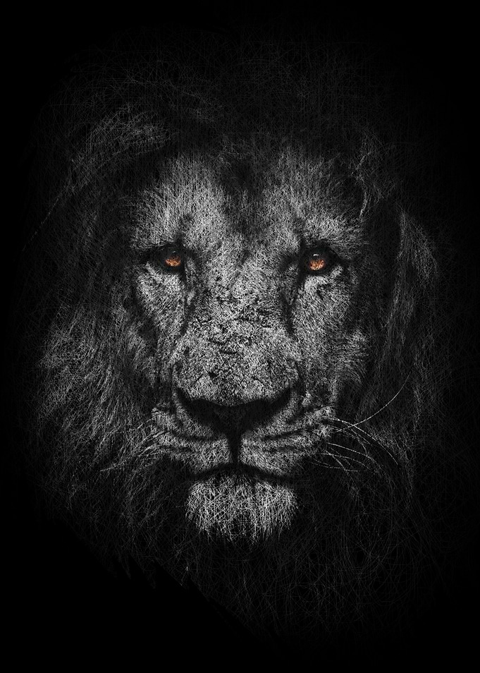 Lion Strength