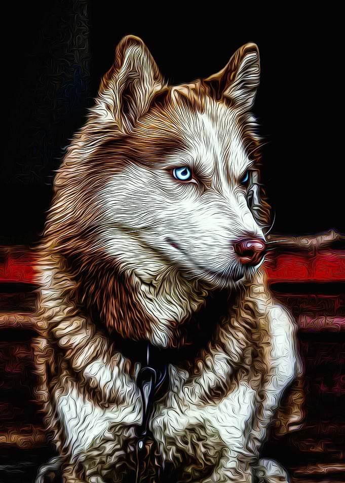 Husky