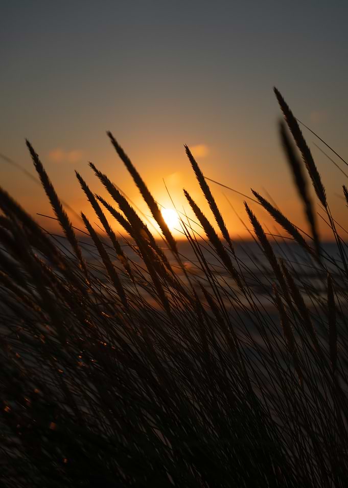 Sunset beach