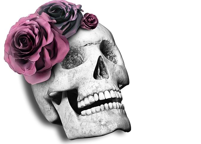 Skull on white background