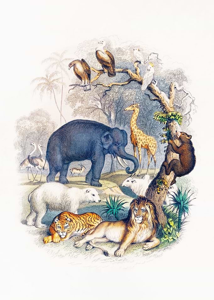 History of the Earth