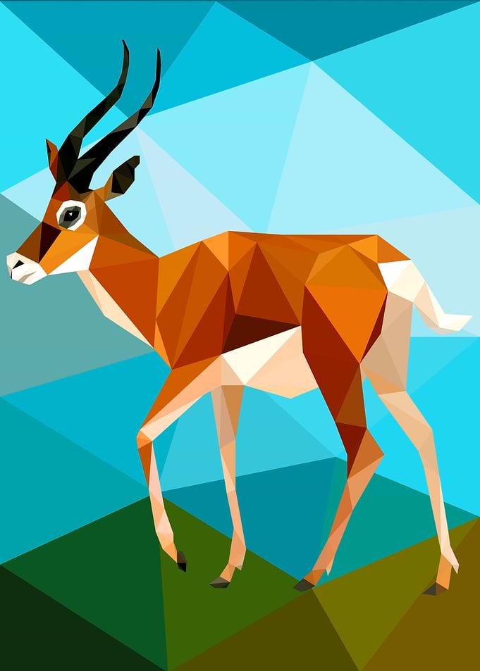 Antelope