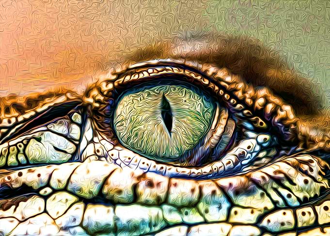 Crocodile