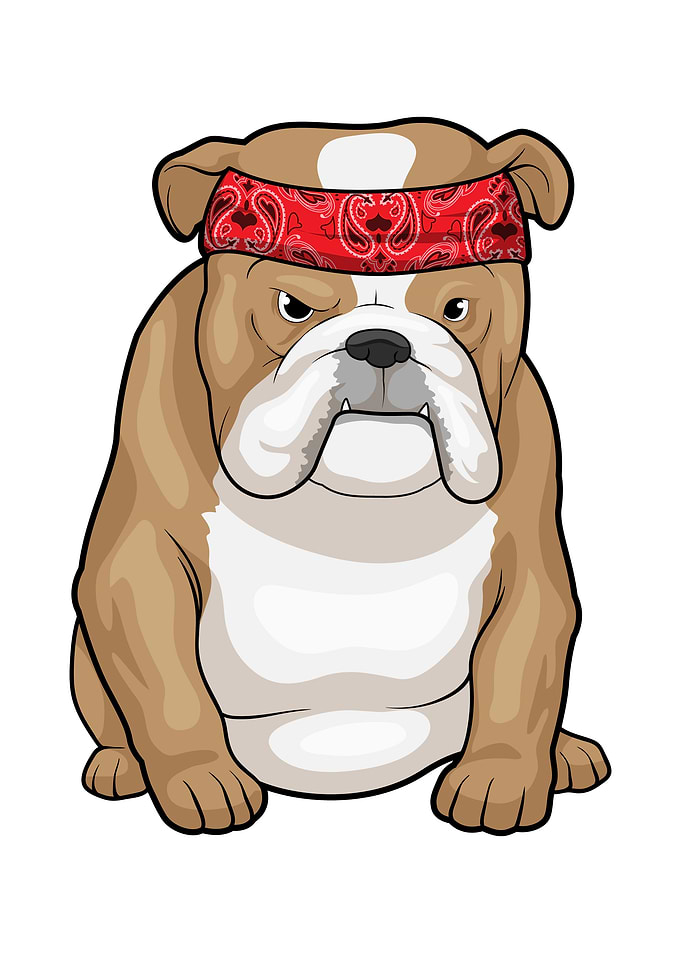Bulldog Bandana