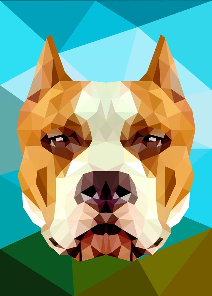 Pitbull