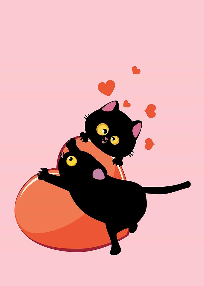 Black cat couple and heart