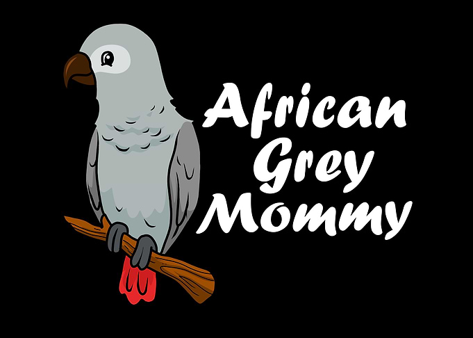 African Grey Mom Parrot