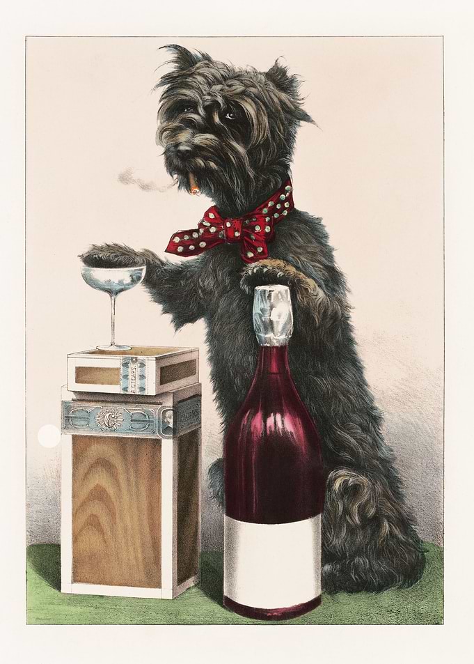 Funny Dog Smoking