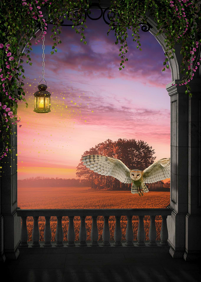 Mystic Animal Pictures