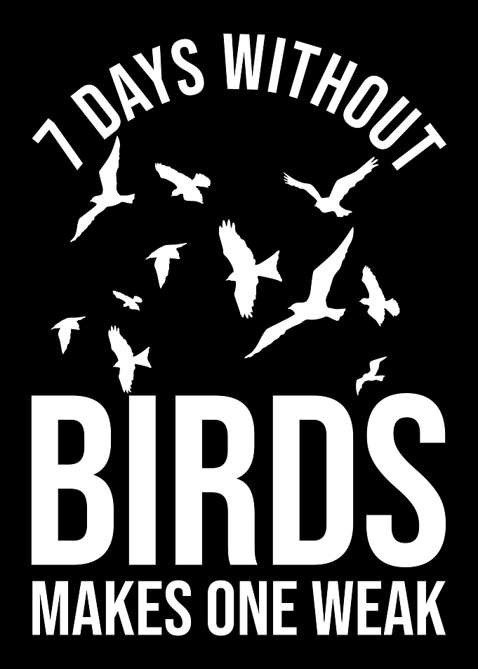 Birdwatching Birdwatcher