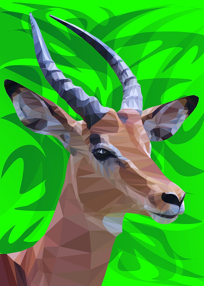 Antelope