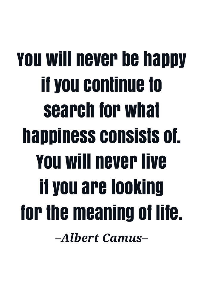 Albert camus quote