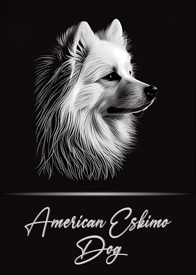 American Eskimo Dog