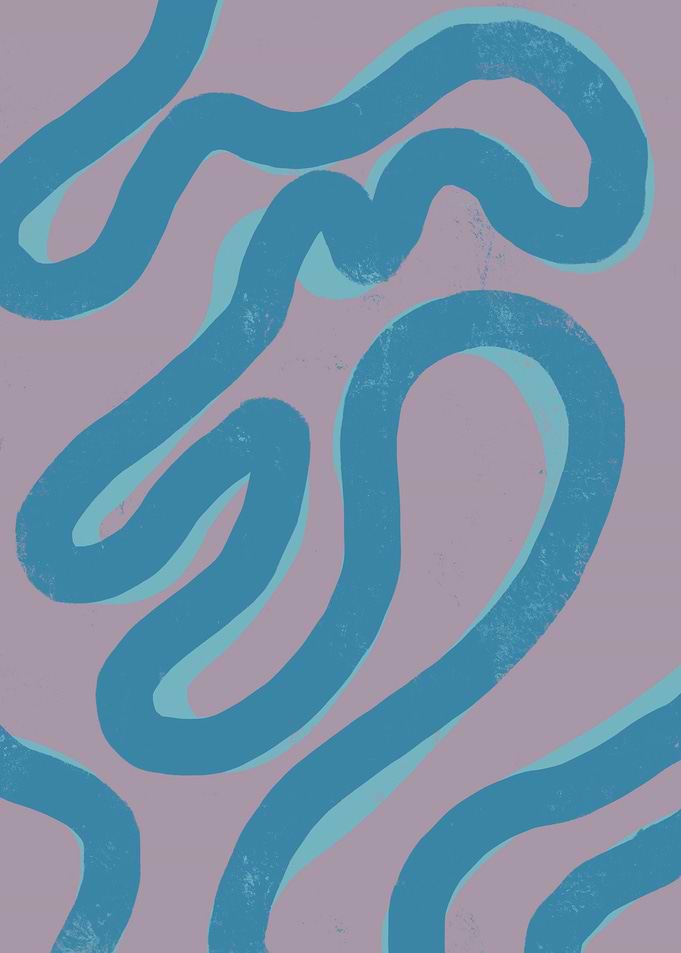 Lasso