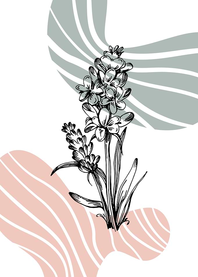 Lavender Minimalist