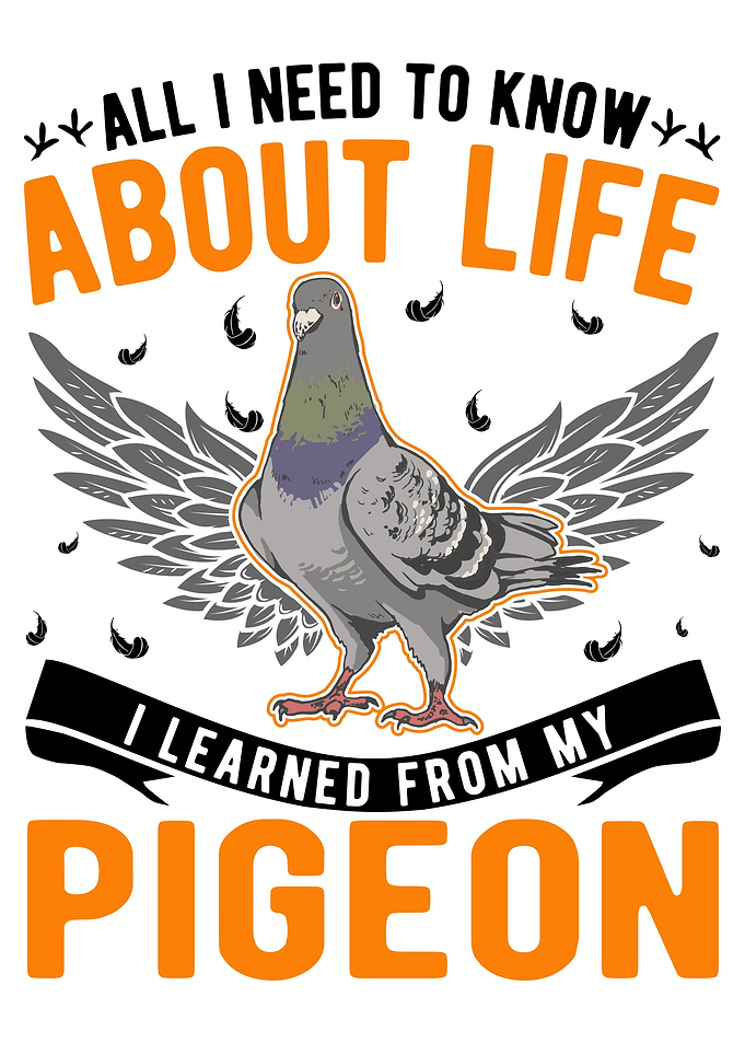 Pigeon Fancier City Pigeon