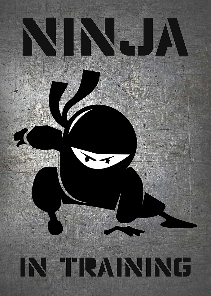 NINJA IN TRAINING METALLIC