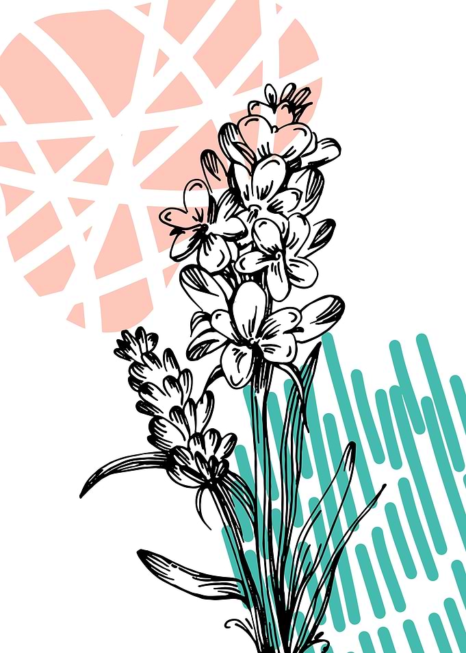 Minimalist Lavender