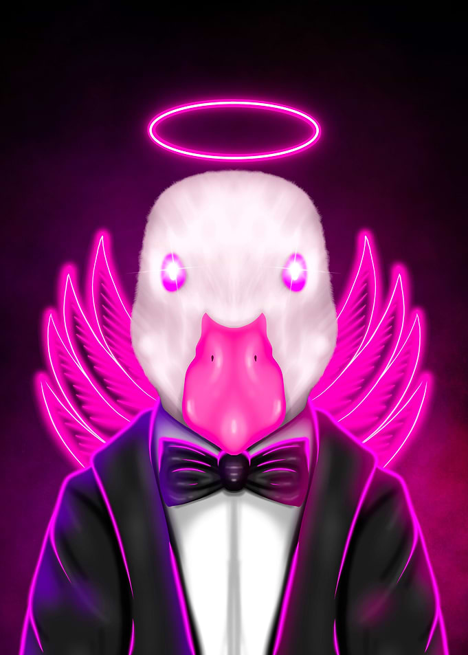 ducksedo illustrations