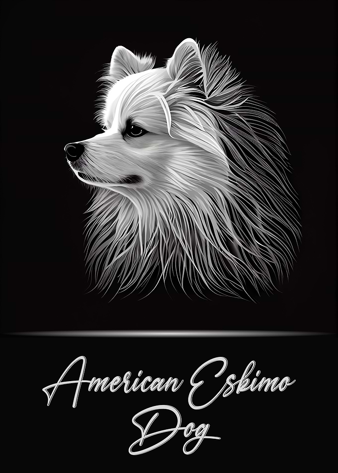 American Eskimo Dog