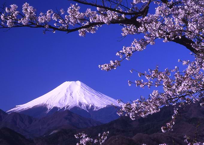 fuji