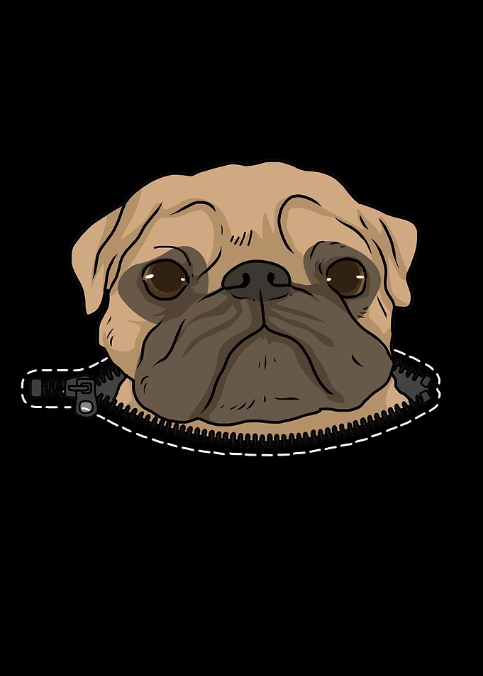 Funny Pug Lover Gift Women