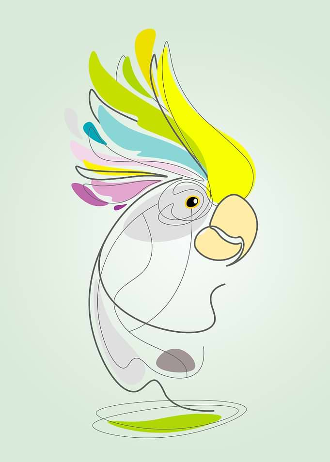 Parrot