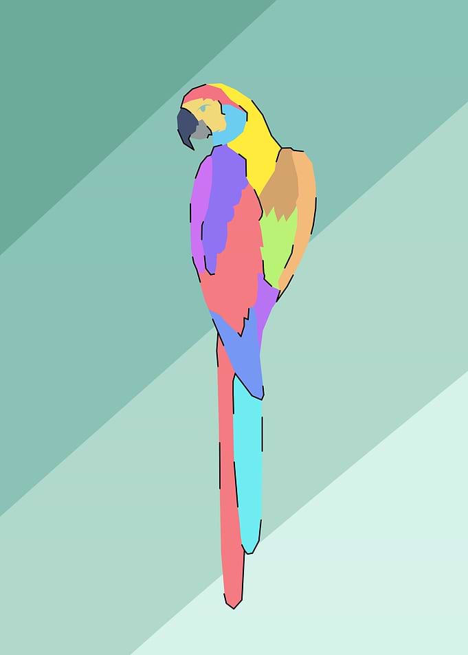Bird art