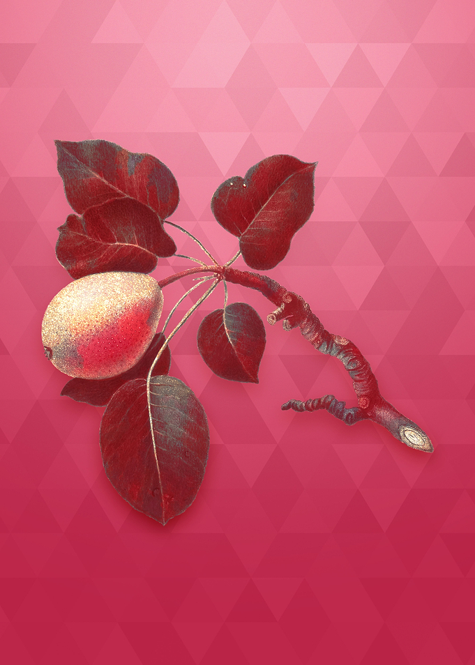 Gold Pear on Viva Magenta