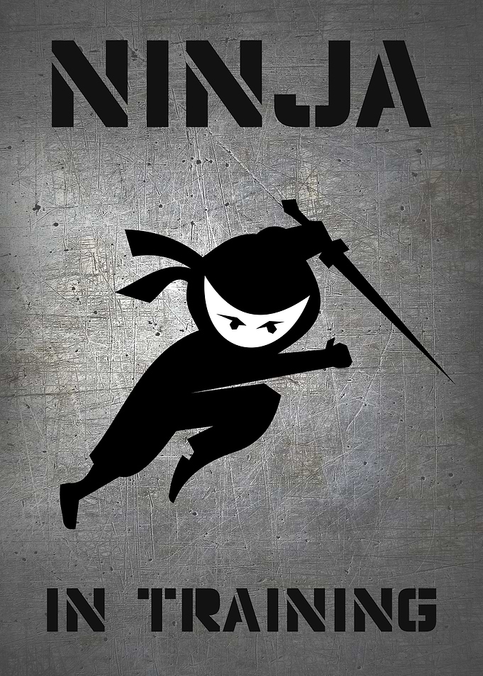NINJA IN TRAINING SWORD