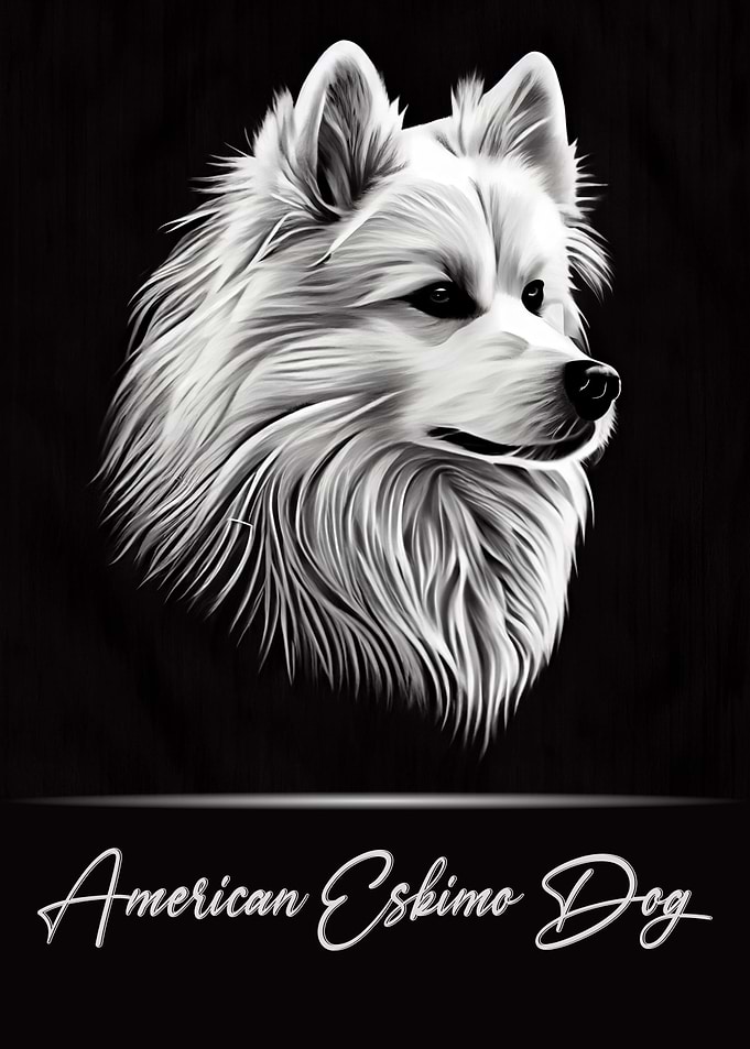 American Eskimo Dog