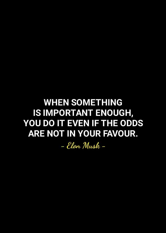Elon Musk quotes