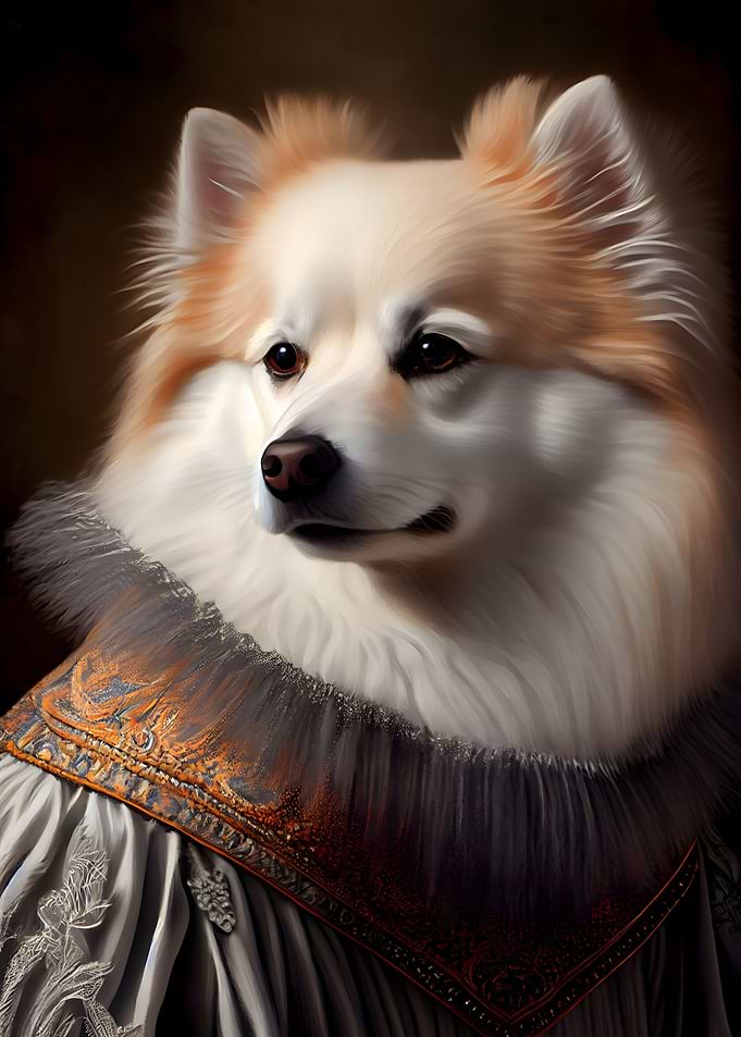 American Eskimo Dog