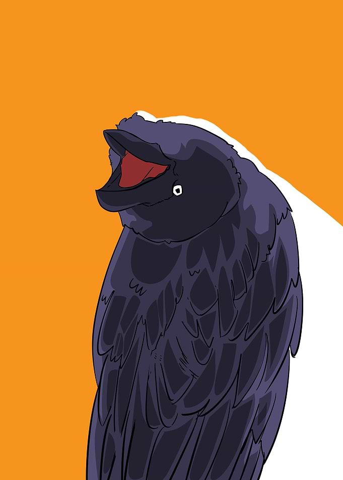 funny crow