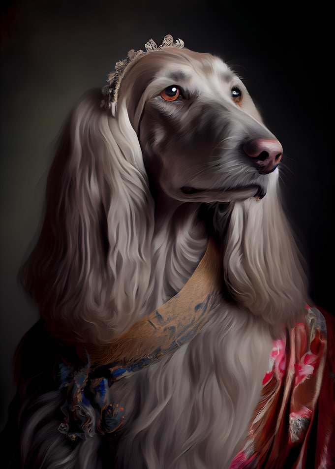 Afghan Hound Portrait