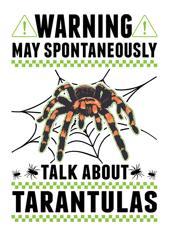 Tarantula Spider
