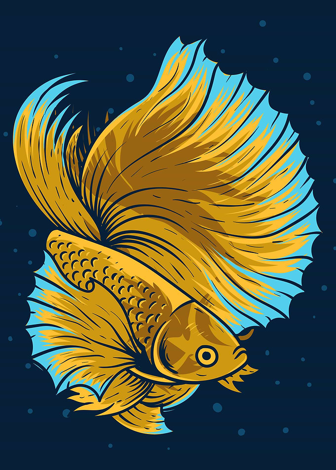 vintage betta fish
