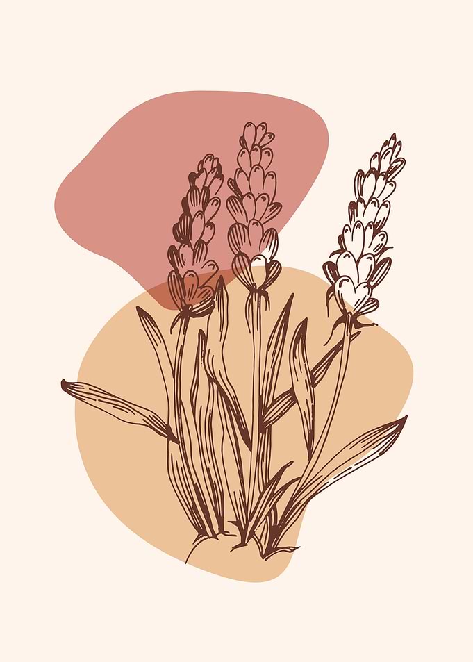 Lavender Minimalist