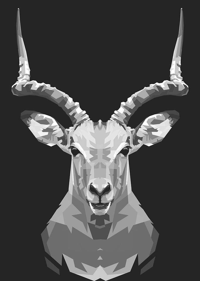 Deer grayscale 2