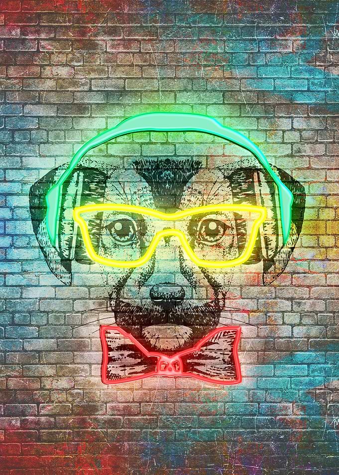 Hipster animal dog